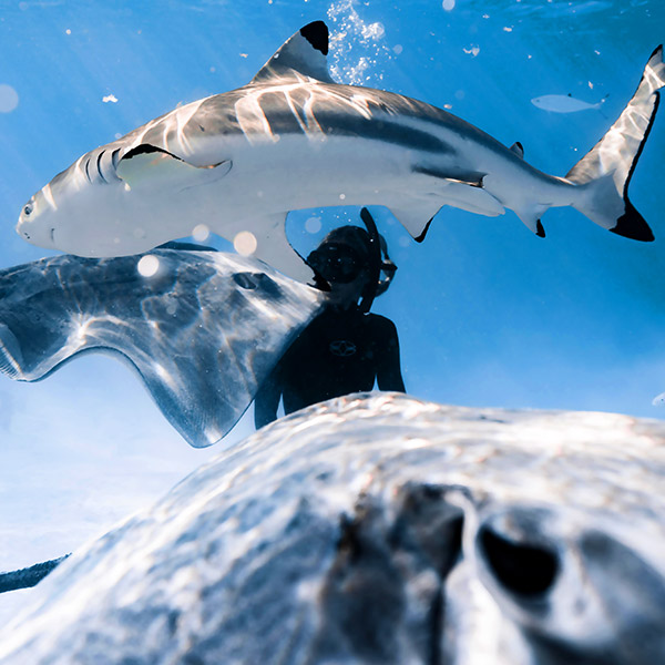 Private Charters Private Charters