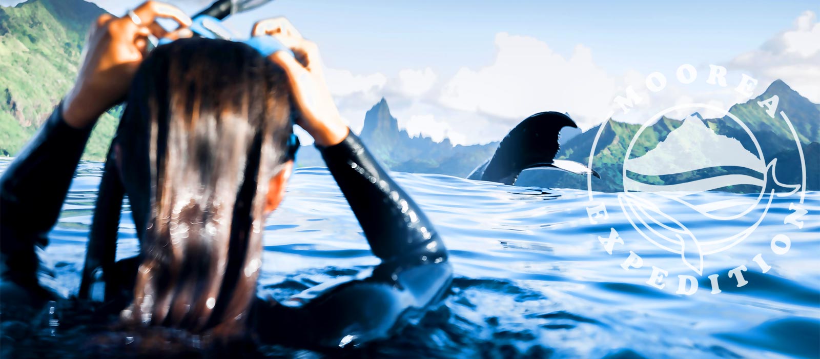 Moorea Expedition Whale swimming